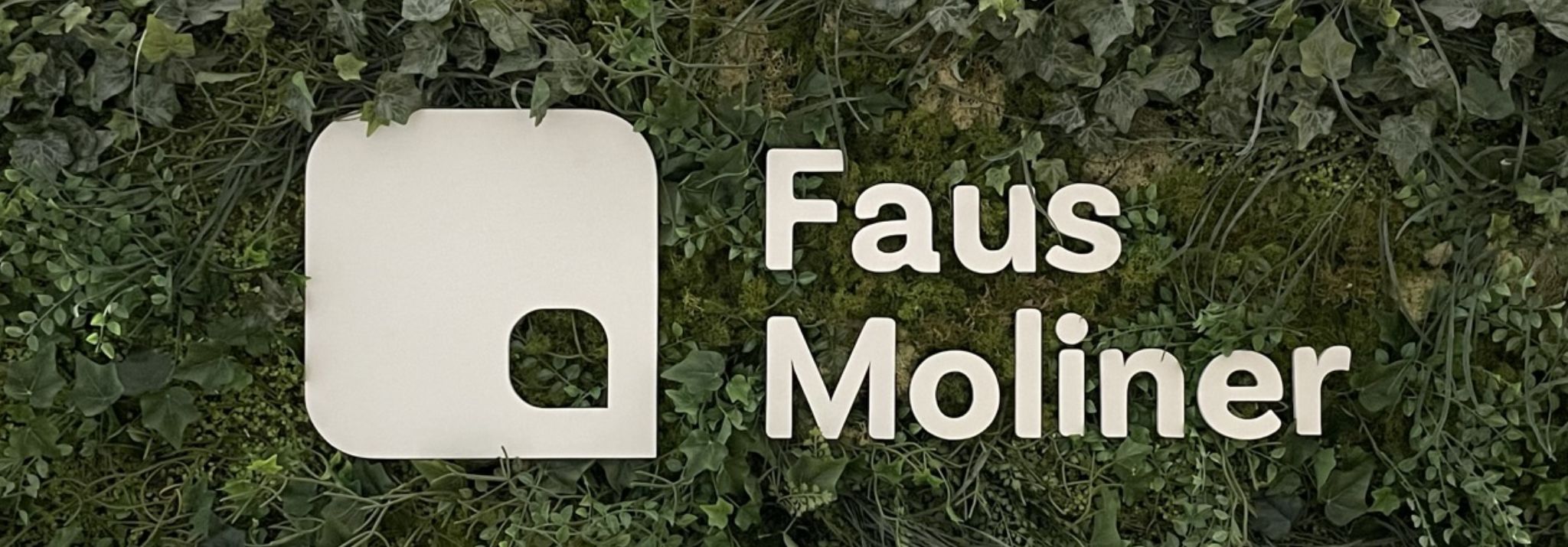 Discover the law firm Faus Moliner