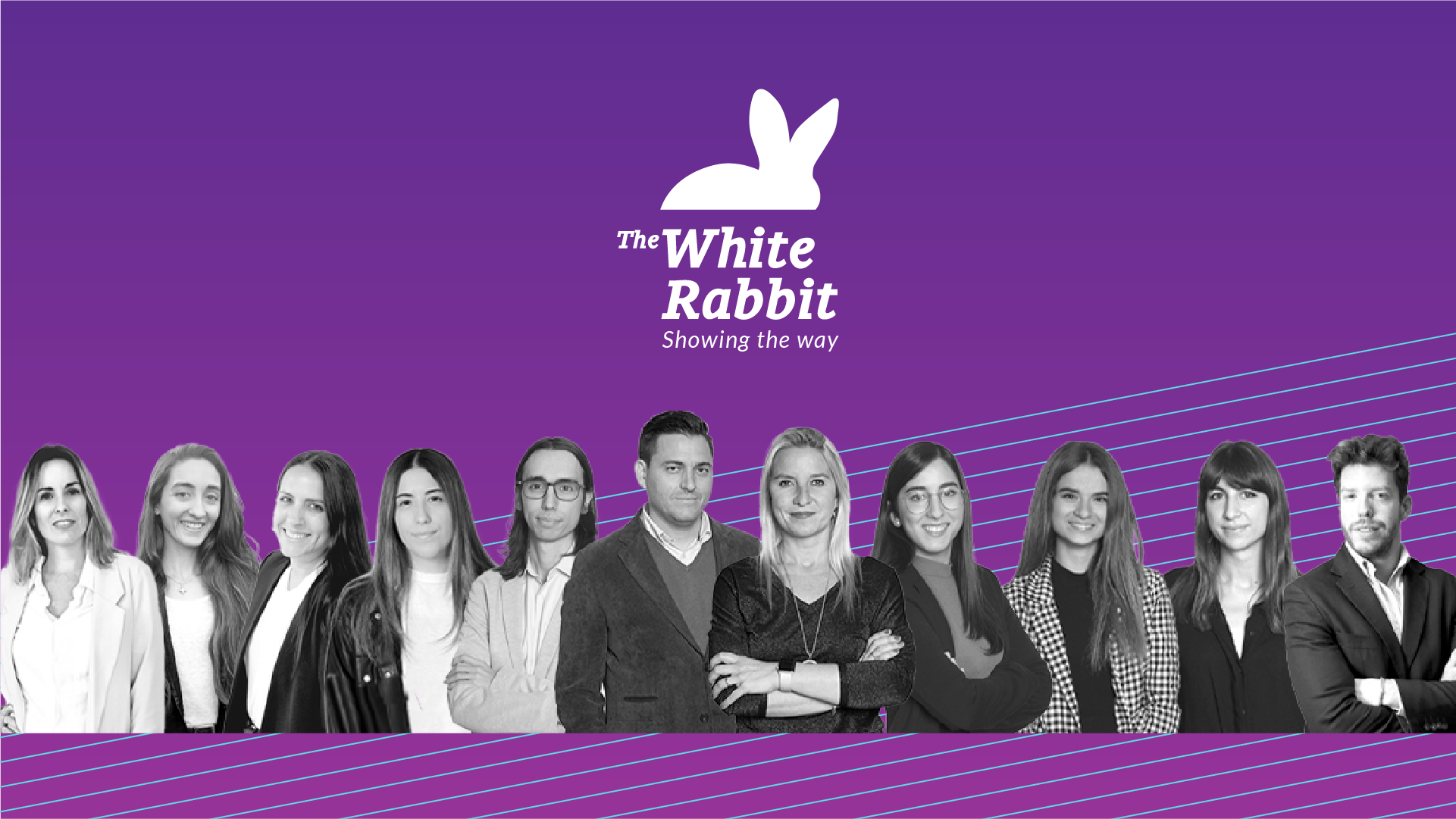 Meet BHH provider White Rabbit - #BHHMembersInitiatives